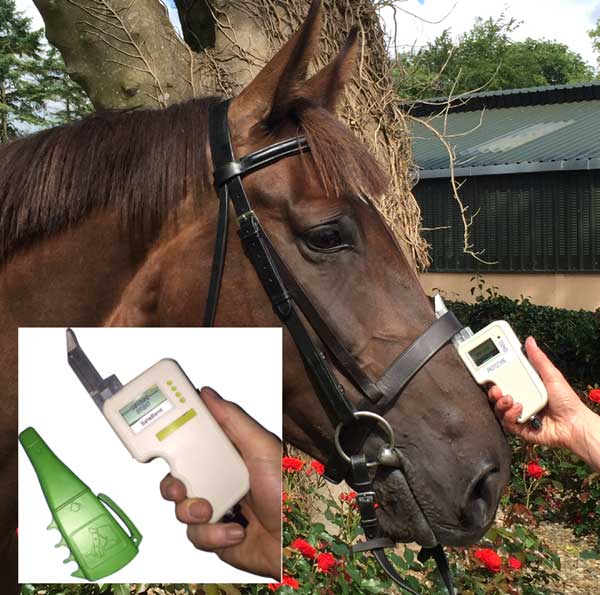 digital noseband 600x